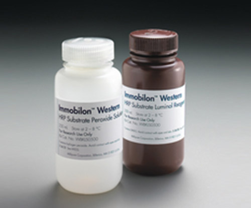 Immobilon Western HRP 底物，2 x 250 mL