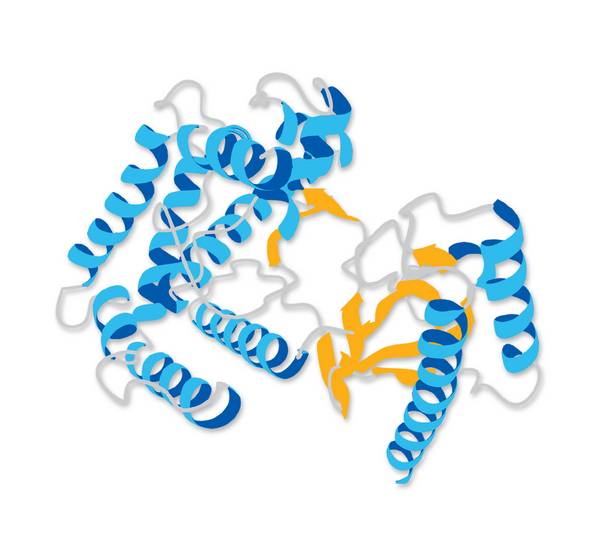 Ubiquitin activating enzyme E1 human recombinant