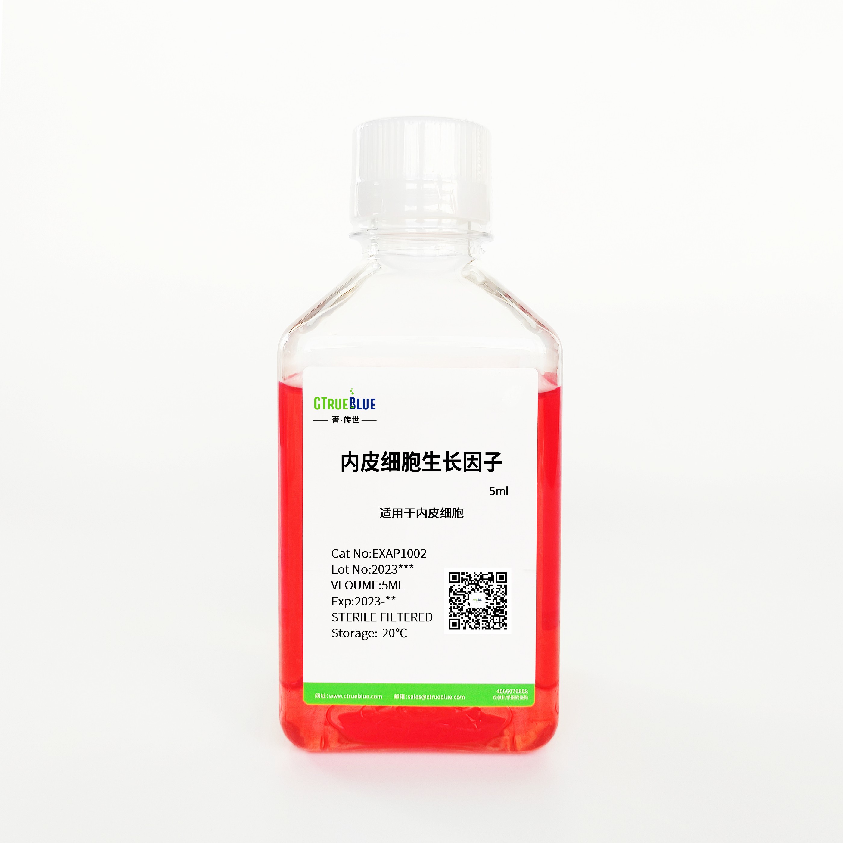 内皮细胞生长因子