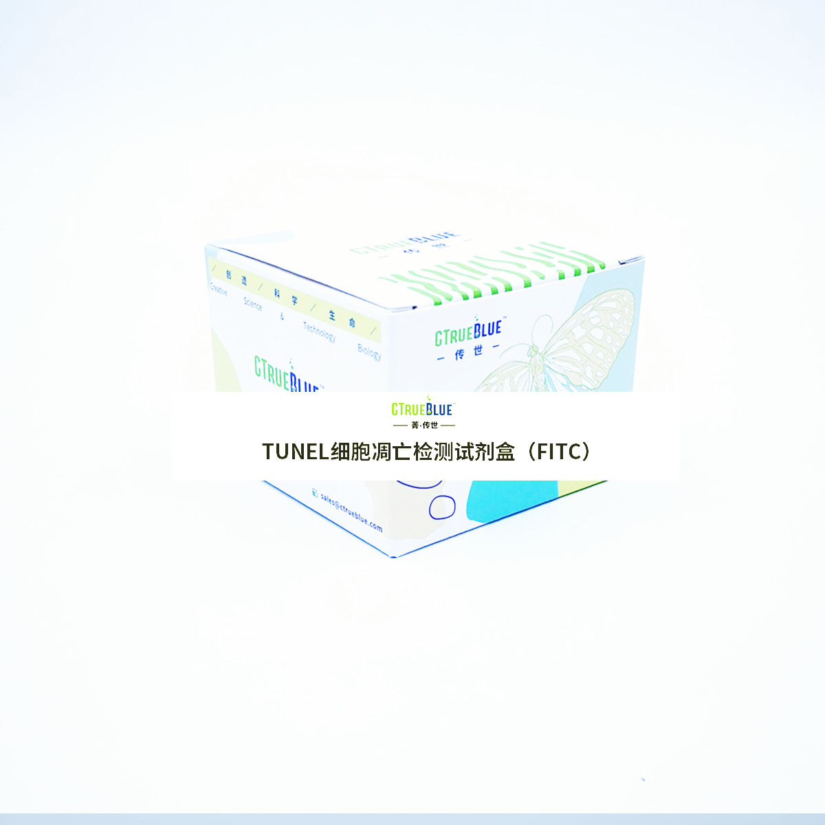 TUNEL Apoptosis Detection Kit(FITC) TUNEL细胞凋亡检测试剂盒(FITC)