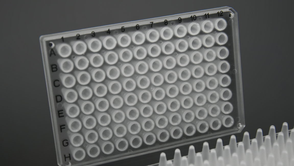 200μL 半裙边 96孔PCR板
