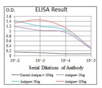 Anti-Galactocerebroside Antibody