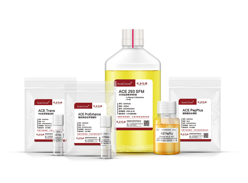 ACE 293 SFM Kit-重组蛋白表达试剂盒