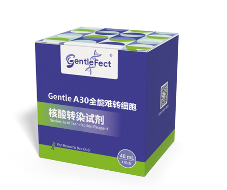 Gentle A30 全能难转细胞核酸转染试剂