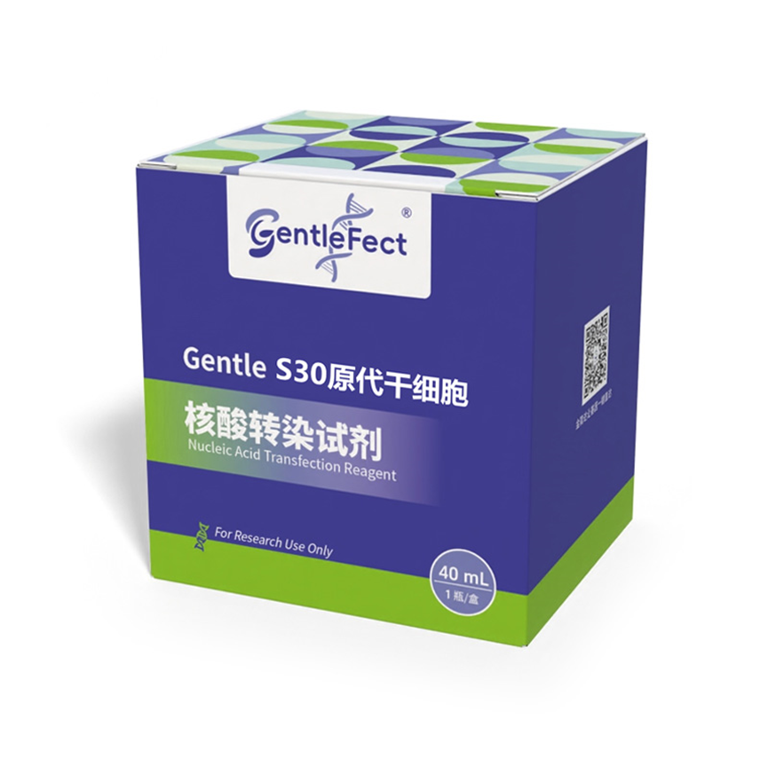 Gentle T30 原代T细胞核酸转染试剂