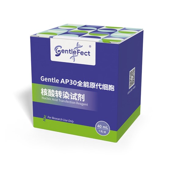 Gentle AP30 全能原代细胞核酸转染试剂
